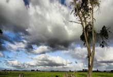 梅西如何回应C罗相关言论？法甲晒采访透露了哪些关键信息？