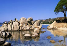 乌迪内斯足球俱乐部为何被称为意甲黑店？它的发展历程有何独特之处？